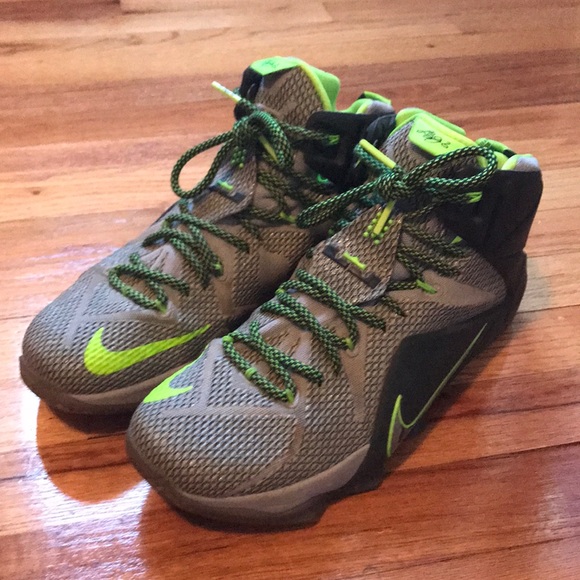 Nike Lebron 12 Dunk Force - Picture 1 of 4